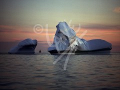 Twillingate, iceberg at dusk